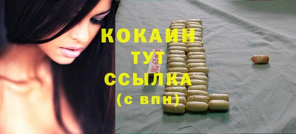 дживик Бронницы