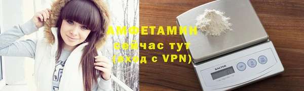 a pvp Бородино