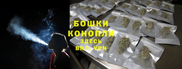 дживик Бронницы