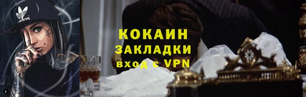 дживик Бронницы
