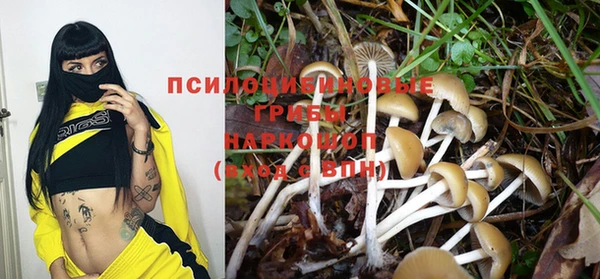 СК Бугульма