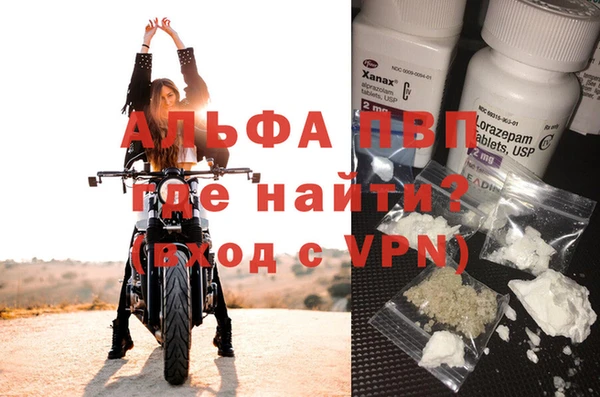 a pvp Бородино