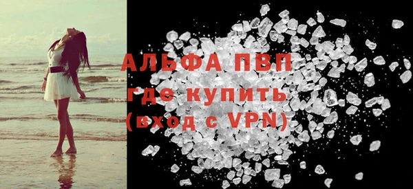 a pvp Бородино