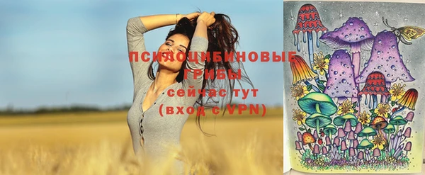 твердый Верхнеуральск