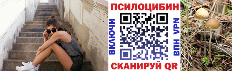Псилоцибиновые грибы мухоморы  сколько стоит  Верхний Тагил 